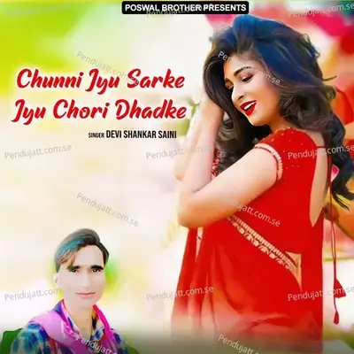 Katil Hai Hansa Tu Mere Pyar Ki - Devi Shankar Saini album cover 
