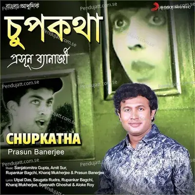 Lauer Fau - Prasun Banerjee album cover 