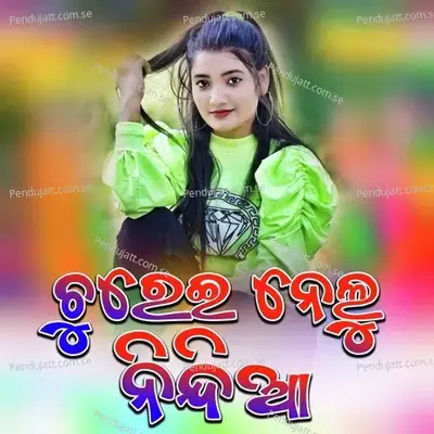 Churei Nelu Nindiaa - Gagan album cover 