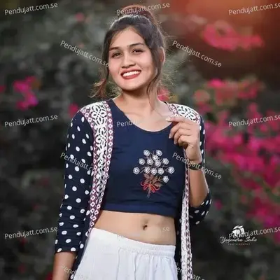 Chutki Jo Tune Kati Hai - Raj Meena album cover 