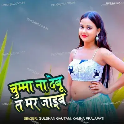 Chuuma Na Debu Ta Mar Jaaib - Gulshan Gautam album cover 