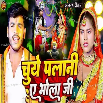 Chuye Palani Ye Bhola Ji - Akash Deewana album cover 