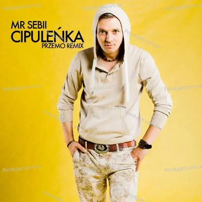 Cipule  ka - Mr Sebii album cover 