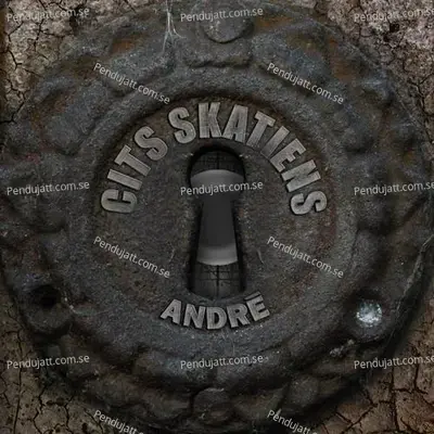 C  nies - Andre album cover 