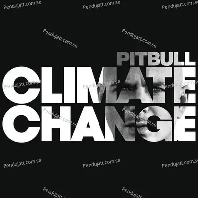 Messin Around - Pitbull album cover 