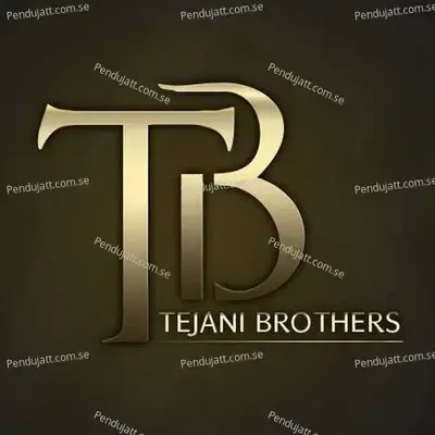 Mere Zawwaro - Tejani Brothers album cover 