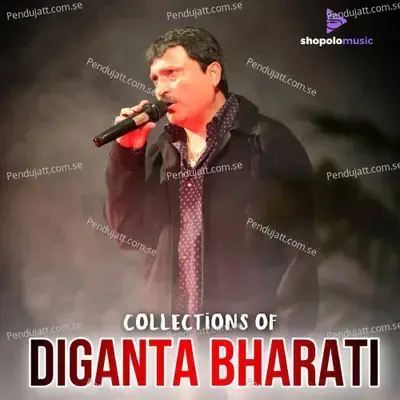 Bokular Tolere - Diganta Bharati album cover 