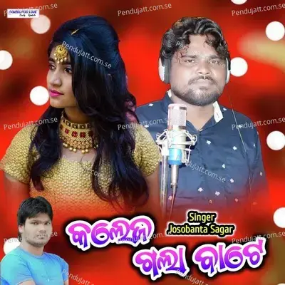 College Bate - Josobanta Sagar album cover 