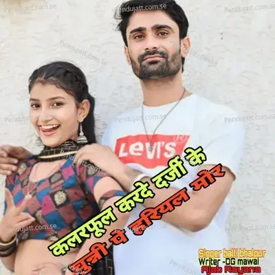 Colorful Krde Darji Ke Chuni Par Hariyal Mor - Balli Bhalpur album cover 