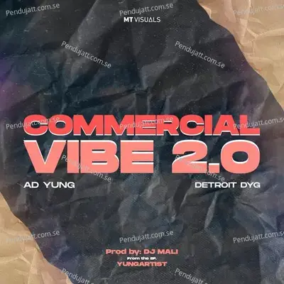 Commercial Vibe 2 0 - Detroit Dyg album cover 