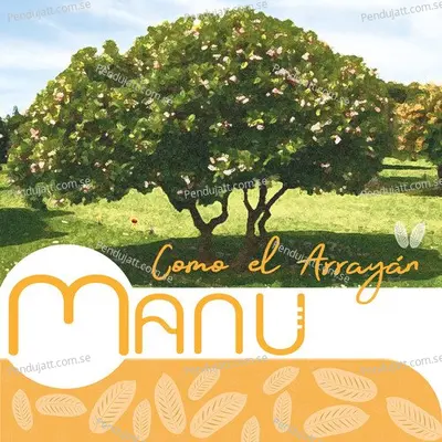Como El Array  n - Manu album cover 