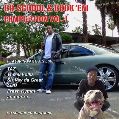 The D i - Bo School album cover 