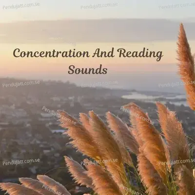 Concentration And Reading Sounds - Lakhan Hire album cover 