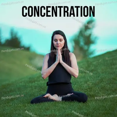 Concentration - Dhyāna One album cover 