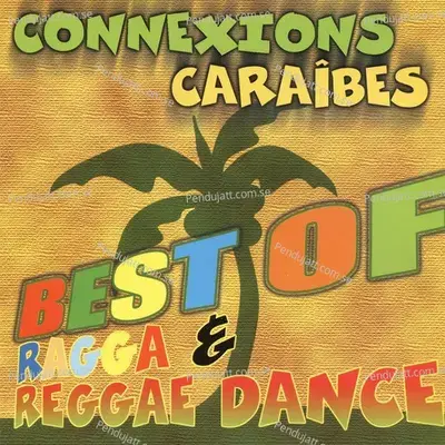 Connexions Caraïbes (Best Of Ragga &Amp; Reggae Dance) - Various Artists cover album