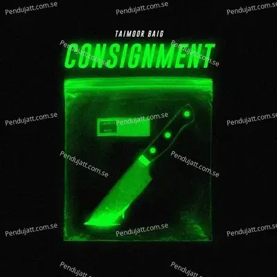 Consignment - Taimour Baig album cover 