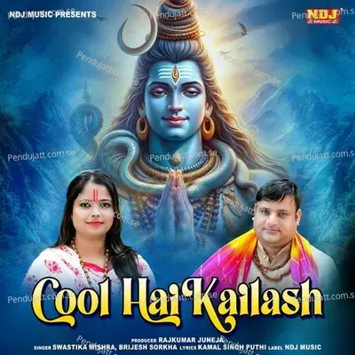 Cool Hai Kailash - Brijesh Sorkha album cover 