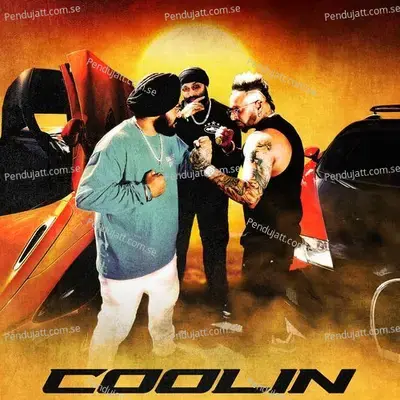 Coolin - Chani Nattan album cover 