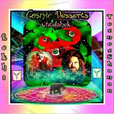 Cosmic Desserts - Texmex Shaman album cover 