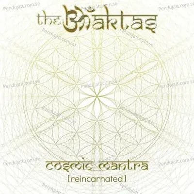 Hare Krishna - The Bhaktas album cover 