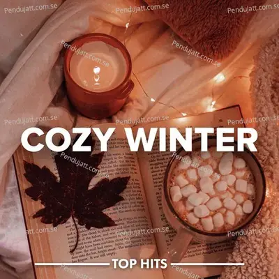 Cozy Winter - Various Artists cover album