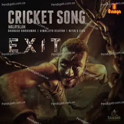 Cricket Song - Dhanush Harikumar album cover 