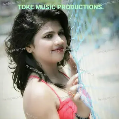 Cricketer Navra - Ashwini Joshi album cover 