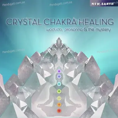 Fourth Chakra - Waduda Prasanna and The Mystery album cover 