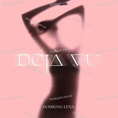 D  j   Vu - DOMKING album cover 