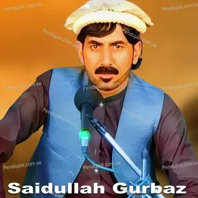 Da Zama O Stha Mena Ba Kazhay Khuday Bay Kwy - Saidullah Gurbaz album cover 