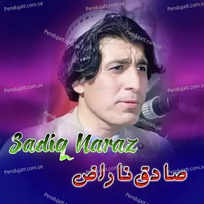 Bia Saba Na Warzam - Sadiq Naraz album cover 
