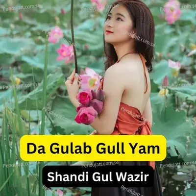 Da Gulab Gull Yam - Shandi Gul Wazir album cover 