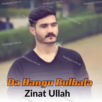 Malum Shawa Bewafa - Zinat Ullah album cover 