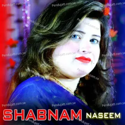 Pa Da Nimgrra Duniya - Shabnam Naseem album cover 