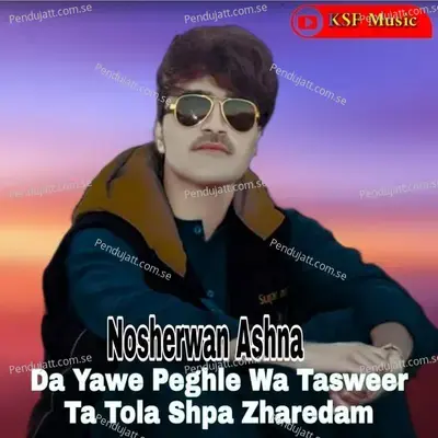 Da Yawe Peghle Wa Tasweer Ta Tola Shpa Zharedam - Nosherwan Ashna