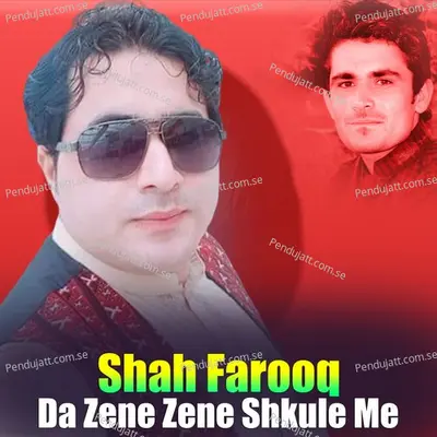 Da Zene Zene Shkule Me - Shah Farooq album cover 