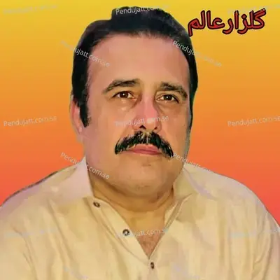 Da Faisla De Khpala Woka - Gulzar Alam album cover 