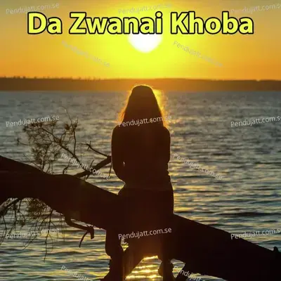 Da Zwanai Khoba - Adil Ali Haider album cover 