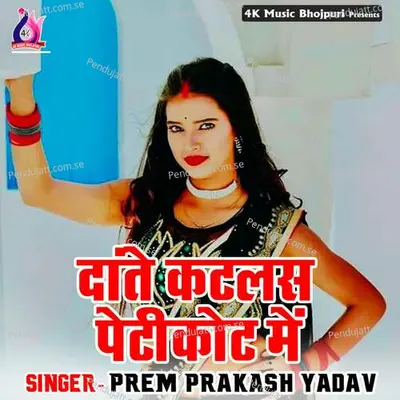 Daante Katlas Paticote Me - Anil Kumar cover album