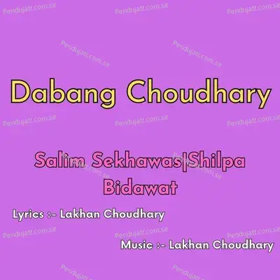 Dabang Choudhary - Salim Shekhawas album cover 