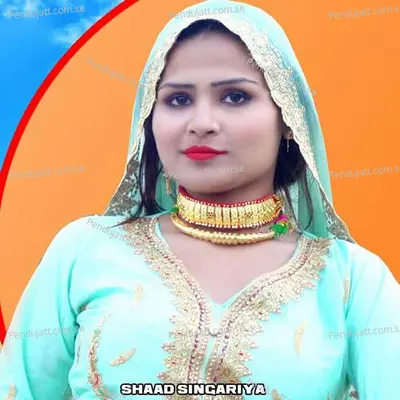 Dabangg Mewati 2 - Shaad Singariya album cover 