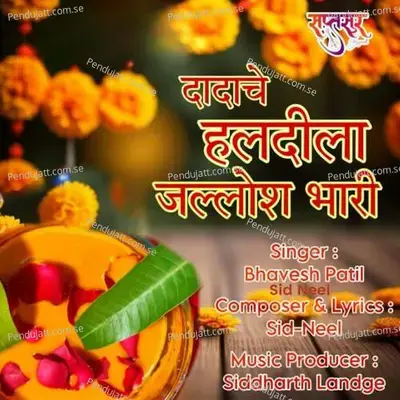 Dadache Haldila Jallosh Bhari - Bhavesh Patil album cover 