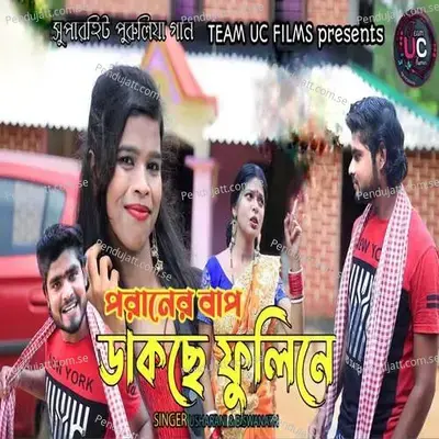 Dakche Fulin - UshaRani Midhya album cover 