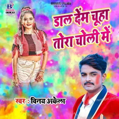 Dal Dem Chuha Tora Choli Me - Vinay Akela album cover 