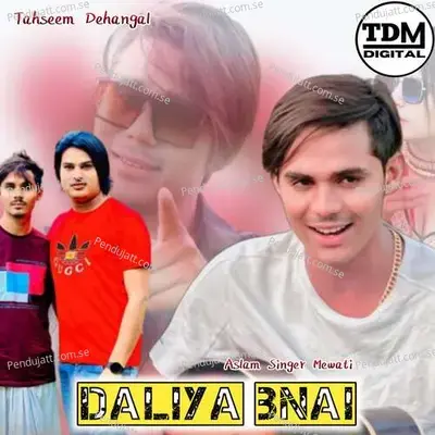 Daliya Bnai - Tahseem Dehangal album cover 