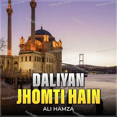 Daliyan Jhomti Hain - Ali Hamza album cover 