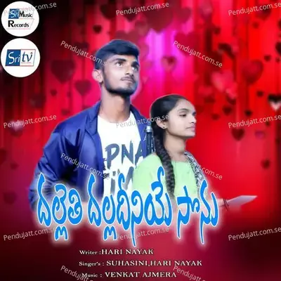 Dalleti Dala Deniye Sonu - HARI NAYAK album cover 