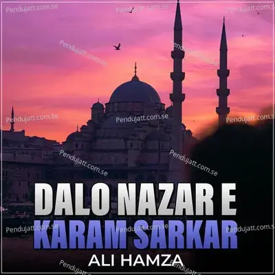 Dalo Nazar E Karam Sarkar - Ali Hamza album cover 