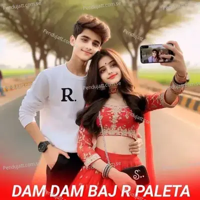Dam Dam Baj R Paleta - Singer Heeralal Saini album cover 