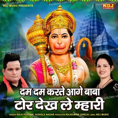 Dam Dam Karte Aage Baba Tor Dekh Le Mhari - Raju Punjabi album cover 